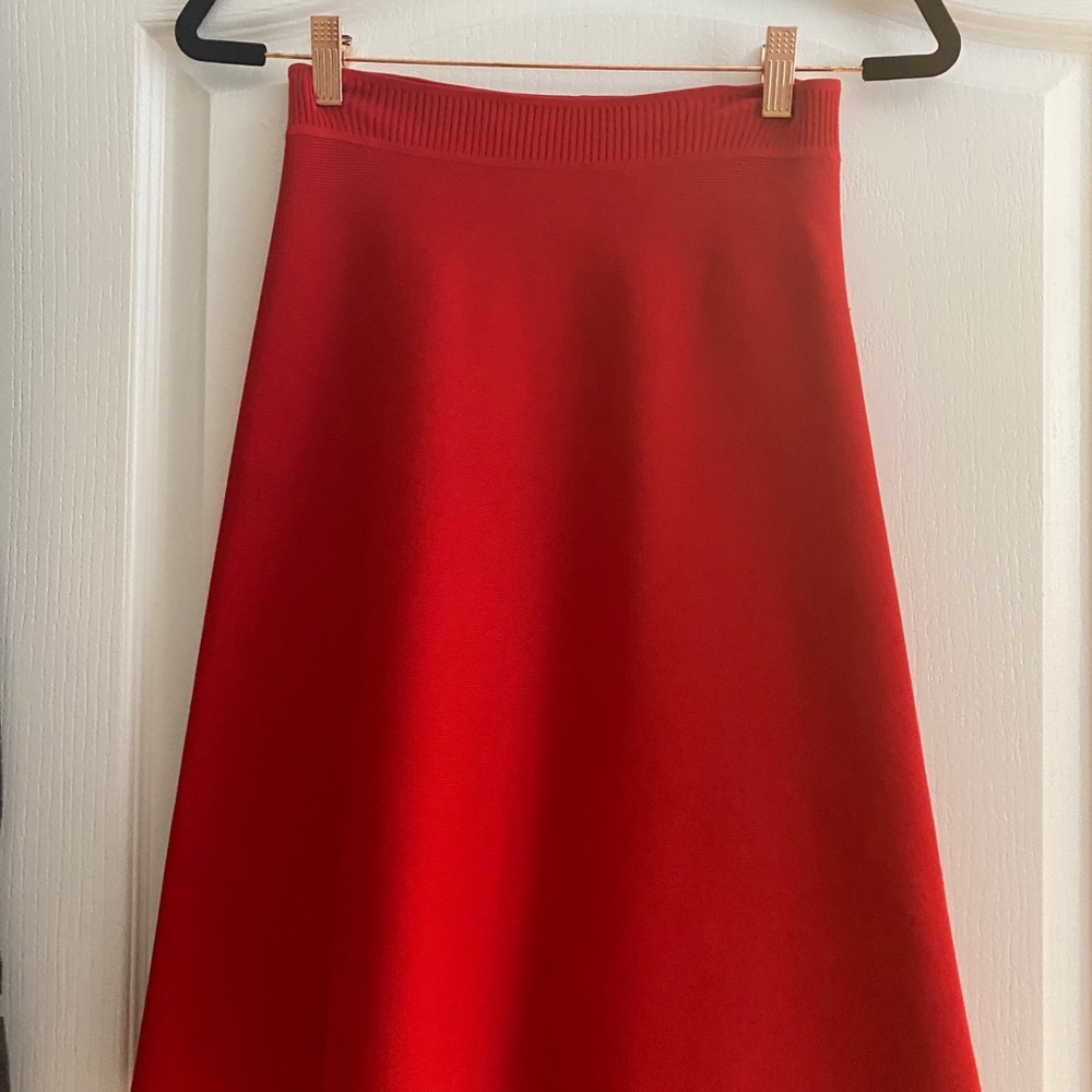 Alexander wang skirt